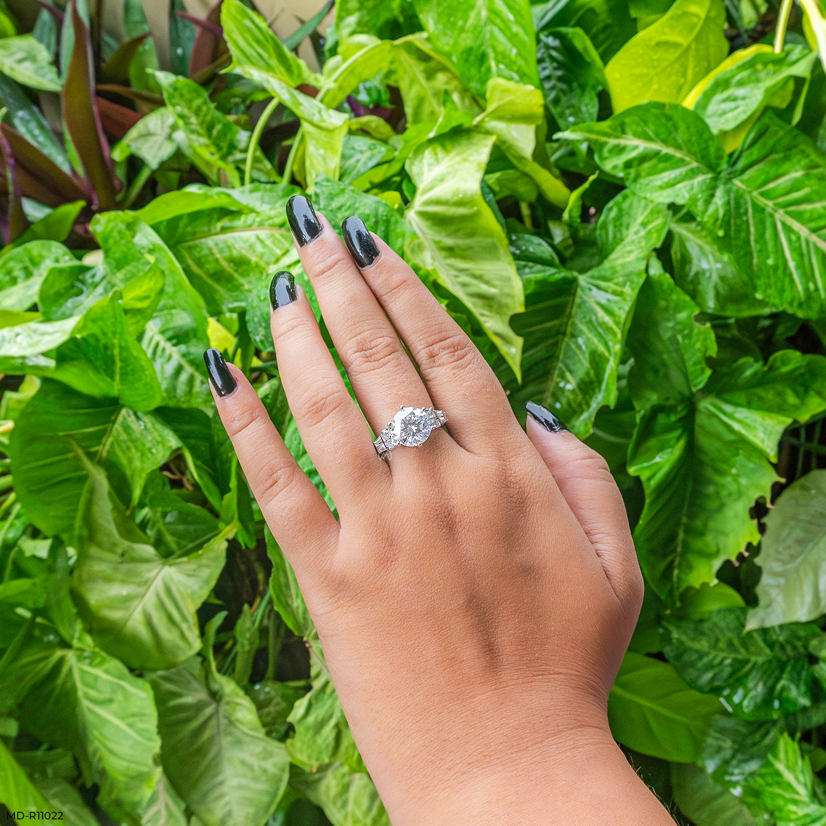 Auraya Shine Solitaire Dimaond Rings
